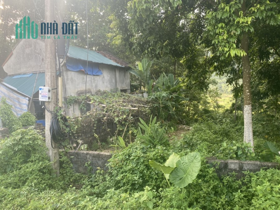 Bán 417m đất trục chính bãi dài giá chỉ hơn 2 tỷ