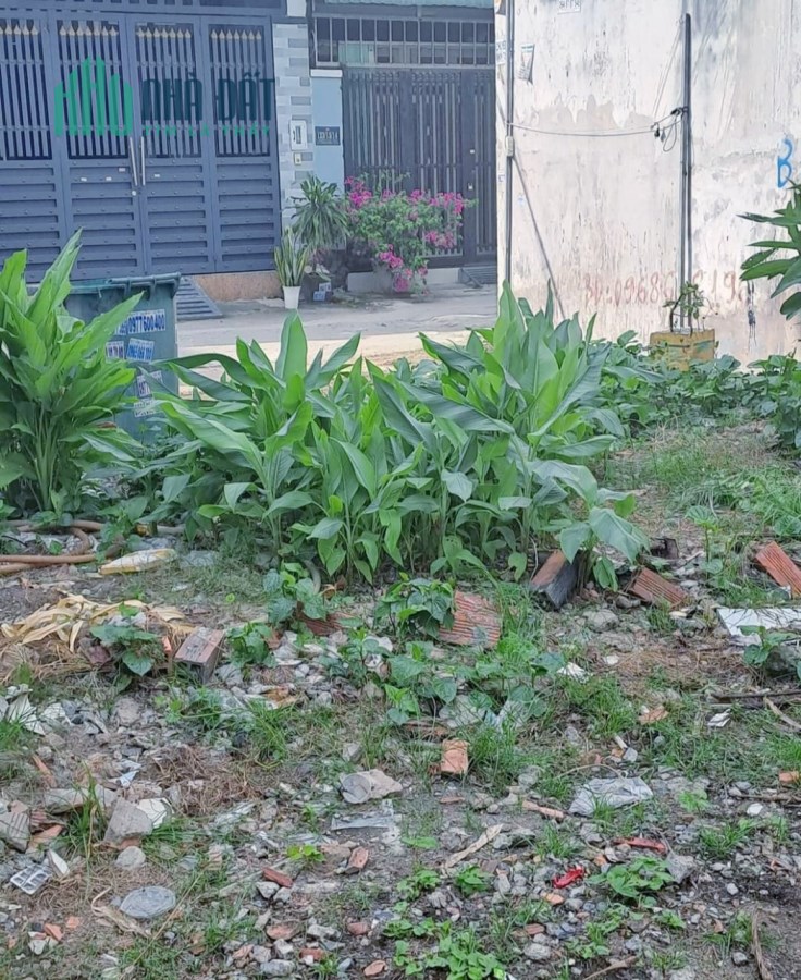 Đất ở Bán-Gần Tô Ngọc Vân  N4.1 D13.5 nhỉnh 3 tỷ-Thạnh Xuân Q12
