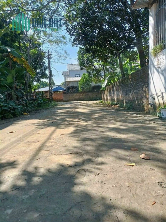 Bán nhanh 137m trục chính thôn 1 - Tân Xã
Đường rộng thênh thang 2 oto tránh nhau thoải mái