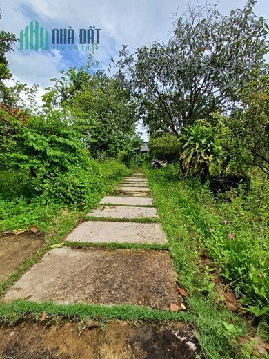 BIỆT THỰ SÂN VƯỜN - HƠN 1200M2, NGANG 40M - FULL THỔ CƯ, AN PHÚ ĐÔNG QUẬN 12 - GIÁ CHỈ 50 TRIỆU/M2.