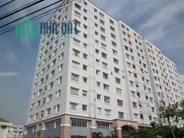 BÁN RẺ CĂN HỘ BÔNG SAO SỔ HỒNG 60m2 Q8 TP.HCM