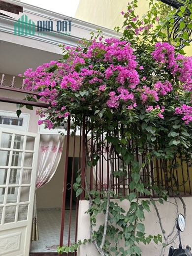 cho thuê ngôi nhà Nguyên Căn, Hẻm Xe Hơi, nội thất căn bản trong khu Cư Xá Điện Lực Thủ Đức