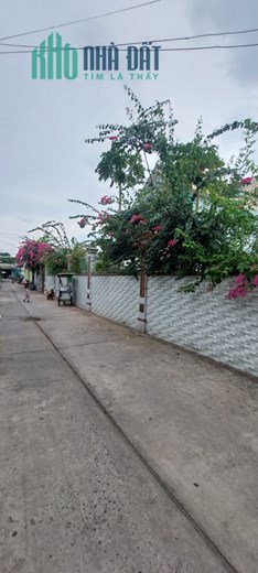 💚BÌNH HƯNG HOÀ A_ĐƯỜNG SỐ 18B - XƯỞNG SẢN XUẤT - ĐƯỜNG THÔNG 8M - GẦN MÃ LÒ-LÊ VĂN QUỚI
👉NOTE: