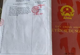 NHÀ BÁN CHÍNH CHỦ - GIÁ TỐT - Vị Trí Đẹp Tại Phước Đông, Huyện Cần Đước - Long An