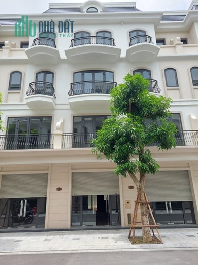 Bán cắt lỗ Sao Biển 7 - Vinhomes Ocean Park 2, giá 5 tỷ 900 triệu
