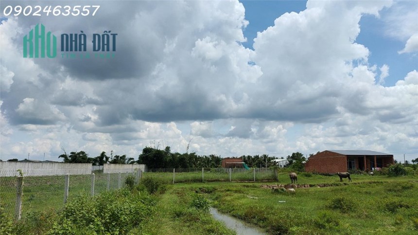 Nông Trại Dưa Lưới kết hợp với view núi siêu đẹp