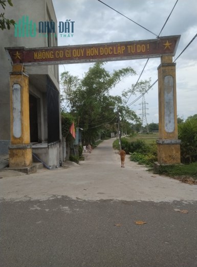 Bán trang trại nuôi chim yến + biệt thự nghỉ dưỡng Q, Cẩm Lệ cho Đại gia đình ở hơn 10 ng giá rẻ
