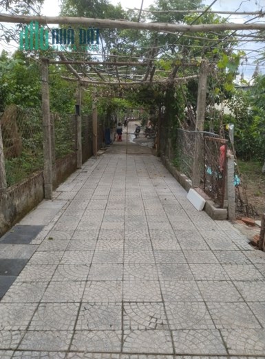 Bán trang trại nuôi chim yến + biệt thự nghỉ dưỡng Q, Cẩm Lệ cho Đại gia đình ở hơn 10 ng giá rẻ