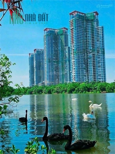 Lựa Chọn Sáng Suốt: Bán Chung Cư 3 Phòng Ngủ Tại Swan Lake Onsen R1 - Chính Chủ