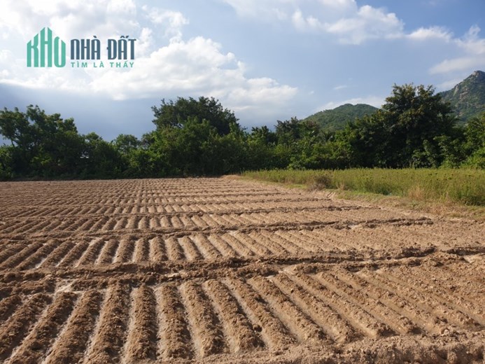 Cần bán gấp đất  tại Xóm Bằng, Xã Bắc Sơn,HuyệnThuận Bắc, Tỉnh Ninh Thuận
