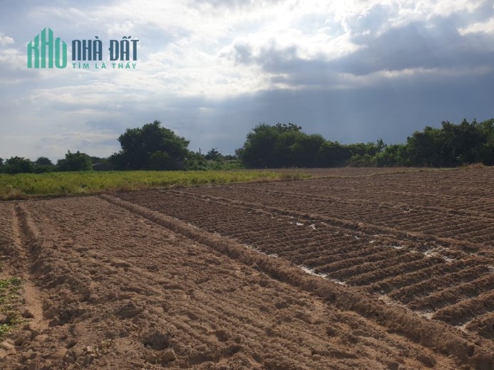 Cần bán gấp đất  tại Xóm Bằng, Xã Bắc Sơn,HuyệnThuận Bắc, Tỉnh Ninh Thuận
