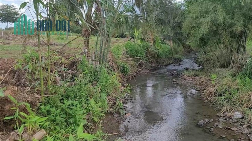 ĐẤT ĐẸP - GIÁ TỐT - Cần Bán Lô Đất Vị Trí Đắc Địa Tại Xã Lâm San, Huyện Cẩm Mỹ, Tỉnh Đồng Nai
