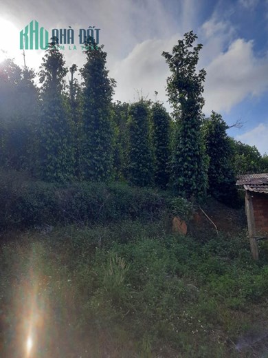 ĐẤT ĐẸP - GIÁ TỐT - Cần Bán Lô Đất Vị Trí Đắc Địa Tại ĐẮK NIA - TP GIA NGHĨA - ĐẮK NÔNG