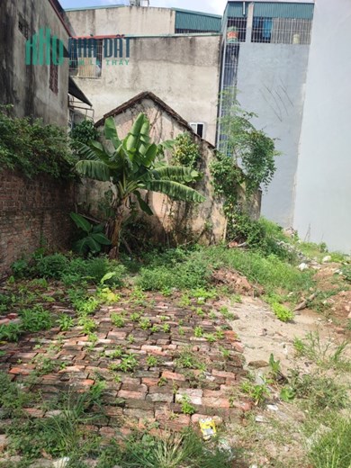 CẦN BÁN 53M ĐẤT – PHÚ LƯƠNG – HÀ ĐÔNG – XÂY NGAY –  2,8 TỶ.