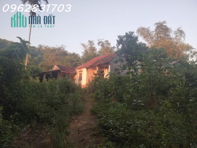 Bán 2100m đất bám mặt tỉnh lộ446 gần 40m giá chủ cần bán cắt lỗ 2 tỷ cho lô đất