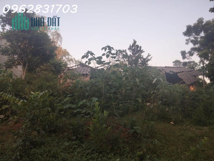 Bán 2100m đất bám mặt tỉnh lộ446 gần 40m giá chủ cần bán cắt lỗ 2 tỷ cho lô đất