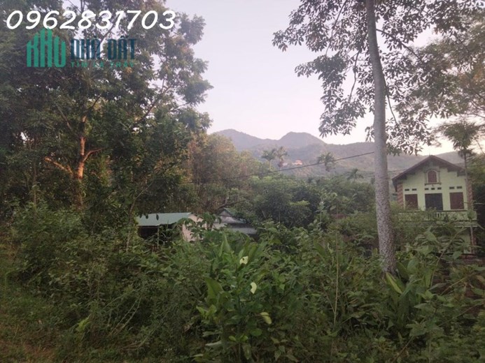 Bán 2100m đất bám mặt tỉnh lộ446 gần 40m giá chủ cần bán cắt lỗ 2 tỷ cho lô đất