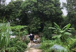 8xx triệu - 41.5m Đất Phượng đồng - phụng châu - chương Mỹ .1 Lô duy nhất nhanh thì còn rất hợp lý