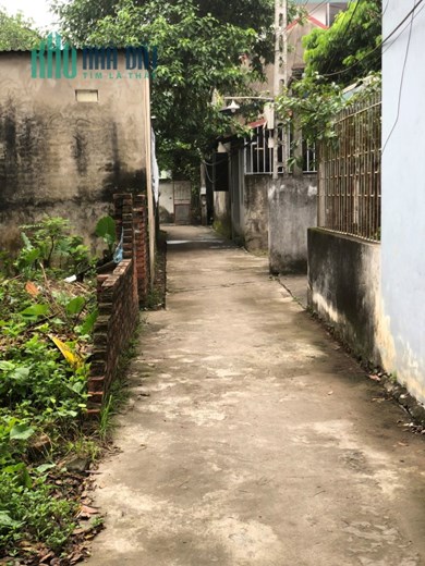 8xx triệu - 41.5m Đất Phượng đồng - phụng châu - chương Mỹ .1 Lô duy nhất nhanh thì còn rất hợp lý
