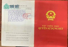 Bán Đất Lâm Nghiệp Và Cây Rừng Xã Hành Dũng, Huyện Nghĩa Hành, Tỉnh Quảng Ngãi.