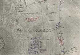 Bán 30,500m2 (thực tế 34,000m2) đường DH613 đối diện UBND xã Long Nguyên, Bàu Bàng. Đường DH613, Xã
