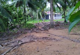 Chính Chủ Bán Đất Sổ Hồng Riêng Giá Rẻ Mt Trung Tâm Giồng Chôm-Bến Tre