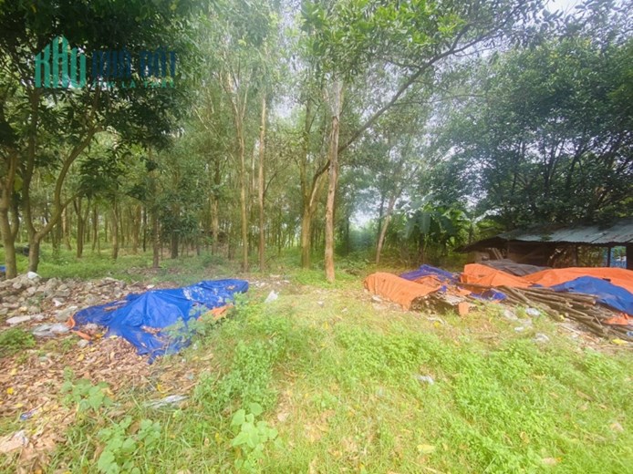 Bán đất thương mại dịch vụ Trung Nguyên,Yên Lạc. DT 6850m2