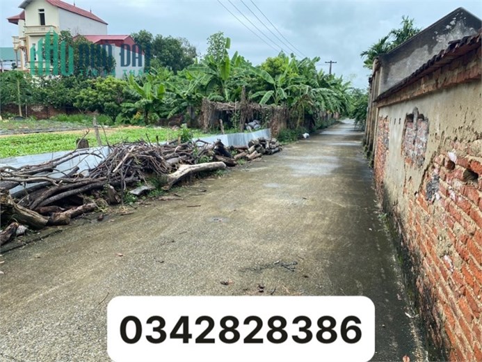 Chỉ 500tr sở hữu ngay 53m² thôn Yên Tàng, Bắc Phú, Sóc Sơn. Bao sổ sách, đường 5m
