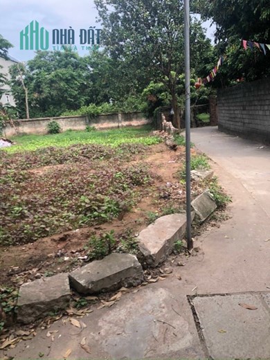 Phượng đồng phụng châu chỉ 900tr / lô đất 
diện tích 38,7m sổ đỏ sẵn cất két 
ngay chợ Phượng đồng