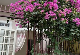 cho thuê nhà Nguyên Căn, Hhx, nội thất căn bản trong khu Cư Xá Điện Lực Thủ Đức