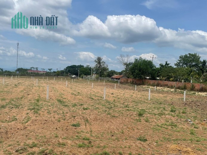 bán đất cho mọi người