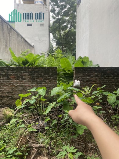 ❌❌ Cần bán 80m2 KCN Bắc Thăng Long tại Sáp Mai - Võng La đường 6m.☎️ 0981568317