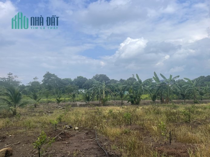 Chính chủ cho thuê nhà vườn Thị trấn Ngãi Giao, Huyện Châu Đức, Bà Rịa – Vũng Tàu