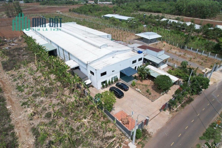 Chính Chủ Bán Nhà Xưởng Và Văn Phòng Giá Tốt Mt Trung Tâm Thống Nhất
