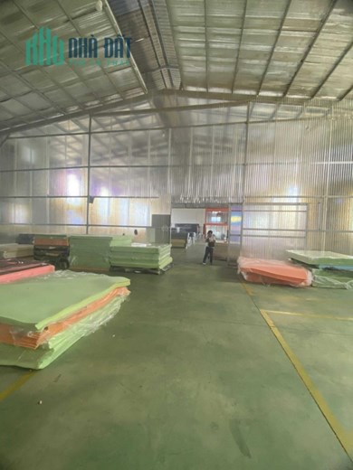 Chính Chủ Bán Nhà Xưởng Và Văn Phòng Giá Tốt Mt Trung Tâm Thống Nhất