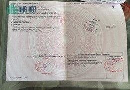 chính chủ cần bán nhà gỗ nghĩ dưỡng tọa lạc bảo lộc lâm đồng diện tích theo sổ 262m2