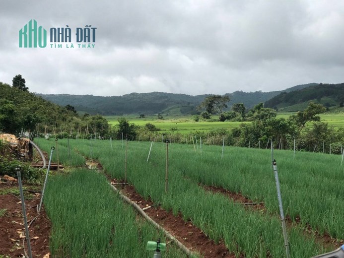 📍 📍 📍 Cần tiền nên bán gấp lô đất 50m mặt tiền tại Kambute - Tu Tra giá cực rẻ