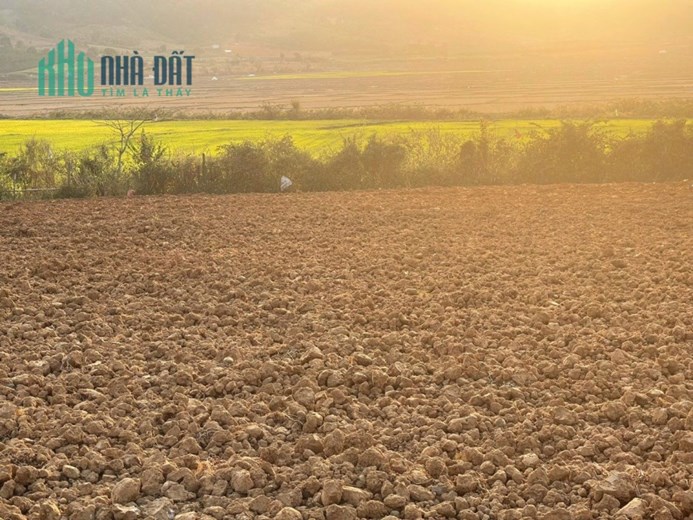📍 📍 📍 Cần tiền nên bán gấp lô đất 50m mặt tiền tại Kambute - Tu Tra giá cực rẻ