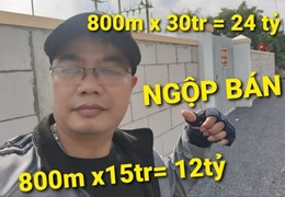 800m2 = 12 tỷ x QL22 Tân Phú Trung Củ Chi TPHCM - SOS