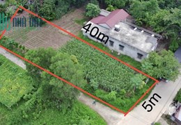 Chính chủ cần bán Nhanh Lô Đất Thuộc Hoàng Cương - Thanh Ba - phú Thọ