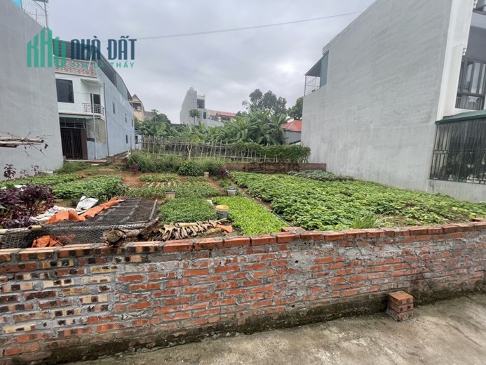 Bán 3 lô liền nhau tại Mậu Lâm, Khai Quang, Vĩnh Yên