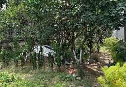 Hơn 40 triệu/1m2 đất gần khu đô thị Vinhomes Ocean Park-Đa Tốn-Gia Lâm-Hà Nội.