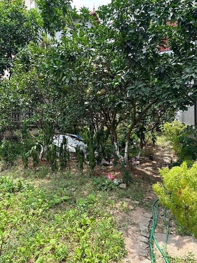 Hơn 40 triệu/1m2 đất gần khu đô thị Vinhomes Ocean Park-Đa Tốn-Gia Lâm-Hà Nội.