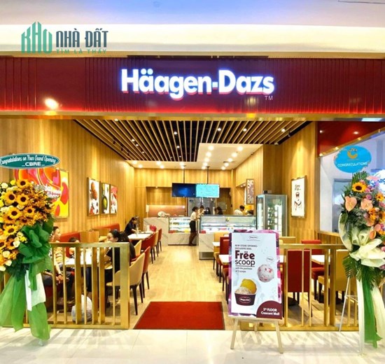 [ HIẾM] MP ĐẶNG VĂN NGỮ BA BƯỚC RA PHẠM NGỌC THẠCH 85M2, ĐÃ CÓ GPXD 8T