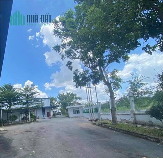 Kho chung chuyển, kho lưu trự hàng hóa KCN Hiệp Phước, Kho Trống DT thuê đa dạng