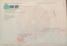 Bán nhà xây mới khu phân lô TĐC Cây Đa, 50m 4 tầng GIÁ 6 tỉ cực đẹp