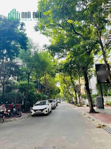 Bán đất phố Hoàng Đạo Thúy, 315m2, mt20m, lô góc, ô tô kinh doanh nhỉnh 120 tỷ