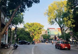 Bán nhà 100m đường Lớn Nam Hồng- Phân lô - Ô tô Tránh -Kinh Doanh đỉnh