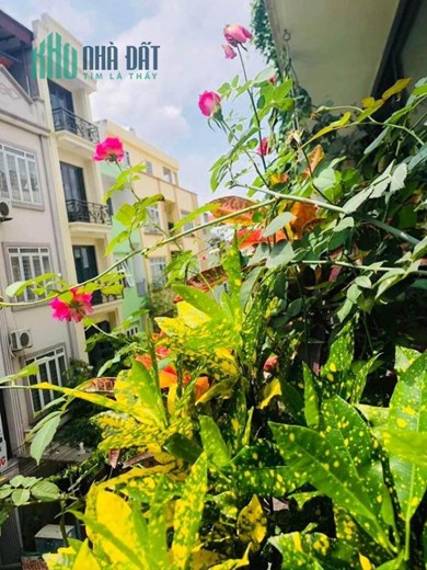 Bán nhà Hoàng Đạo Thành - 65m2 - Ô TÔ - PHÂN LÔ VIP - 8.2 tỷ