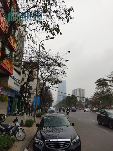 Mặt phố Văn Cao giá 23 tỷ, Tuyến Phố Hiếm Có nhà rao bán